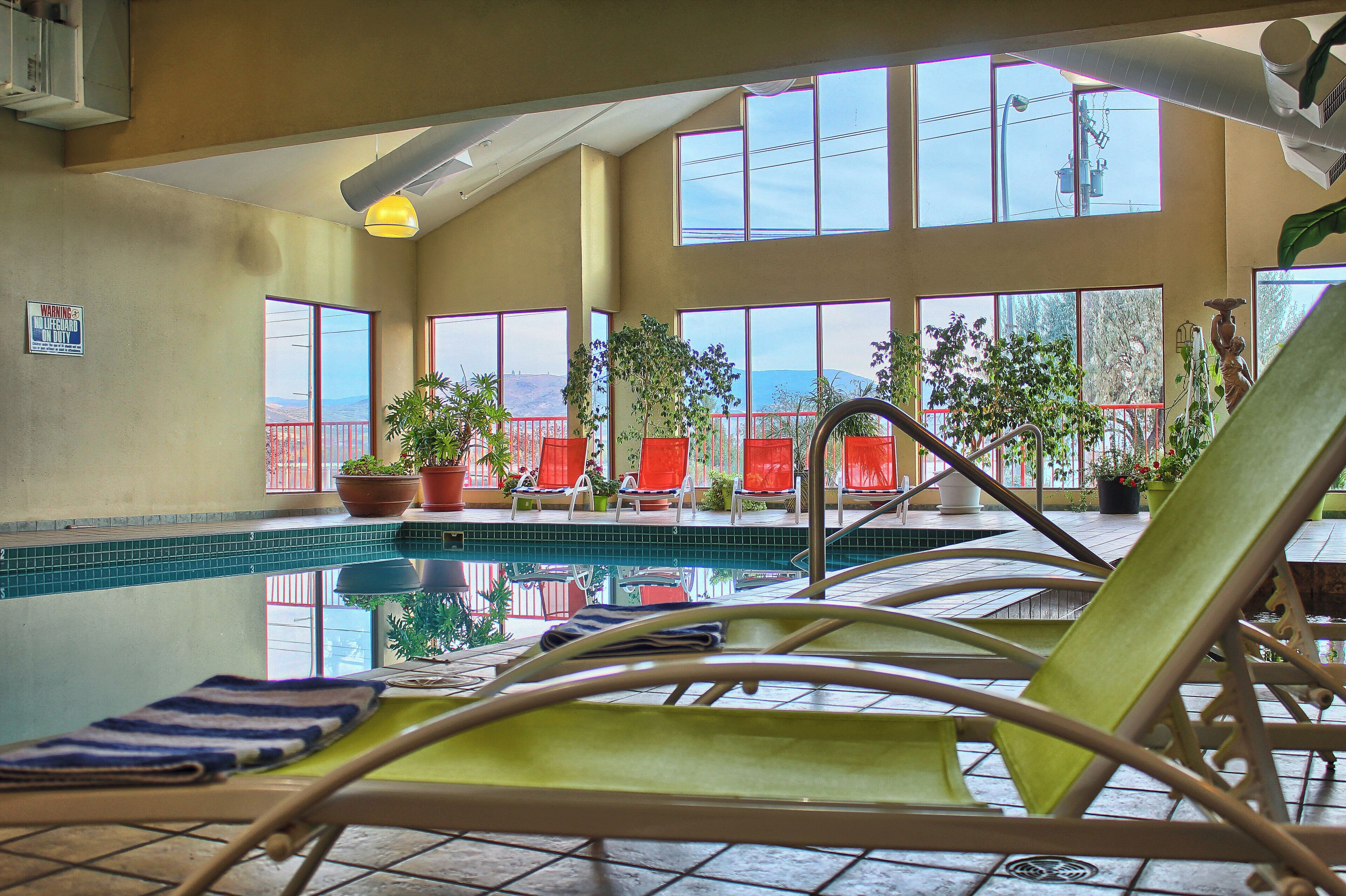 An indoor swimming pool with lounge chairs and potted plants.