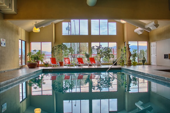 Une piscine intérieure à l’eau claire, entourée de fenêtres et de plantes en pot.