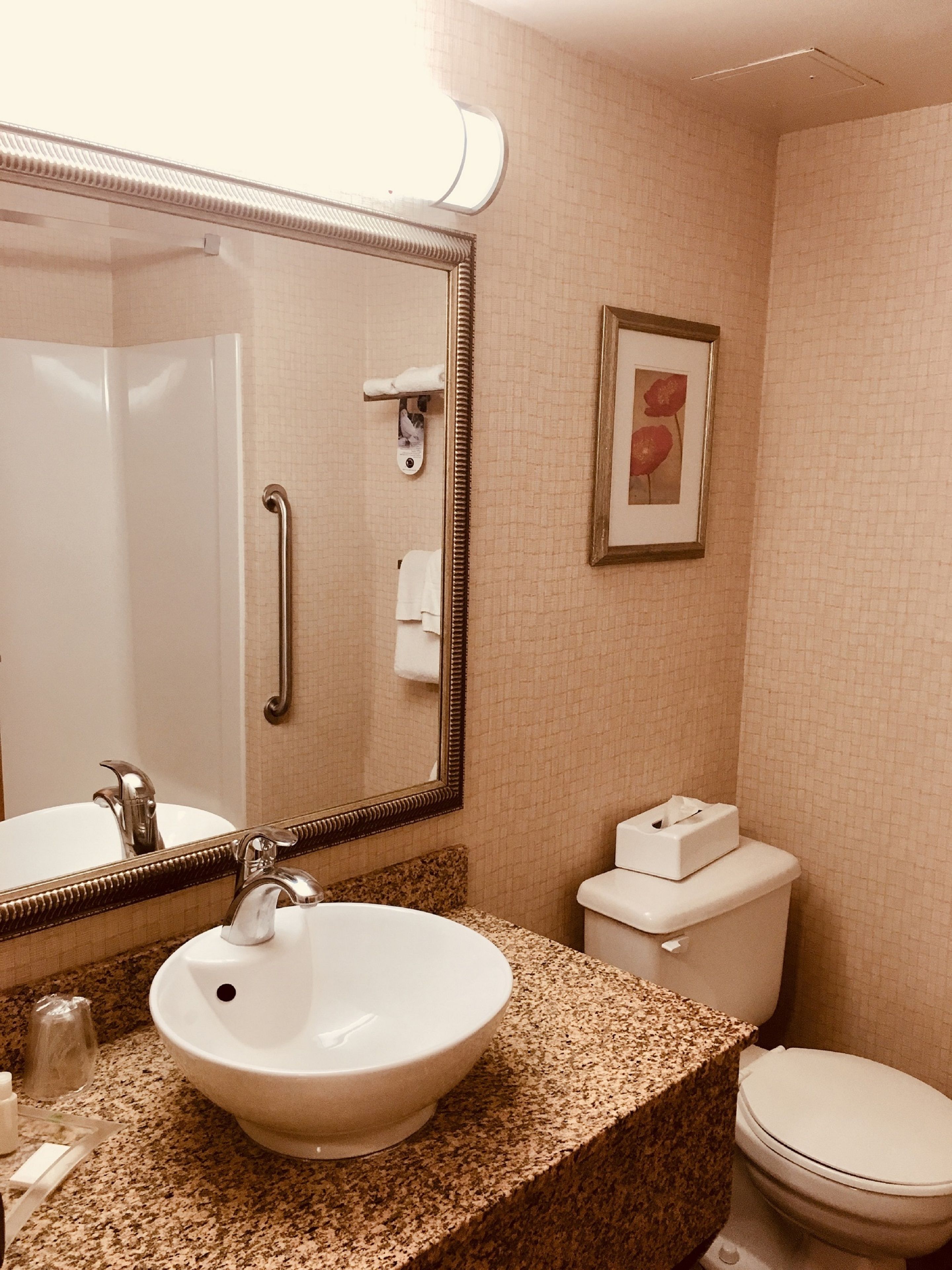 A bathroom with a sink, mirror, toilet, and a framed picture on the wall.