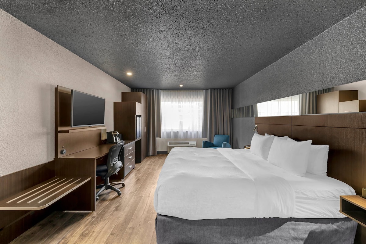 Premium bedding, desk, soundproofing, iron/ironing board