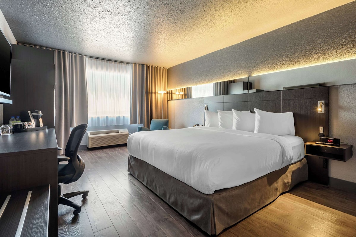 Habitación estándar, 1 cama King size, para no fumadores | Ropa de cama de alta calidad, escritorio y insonorización