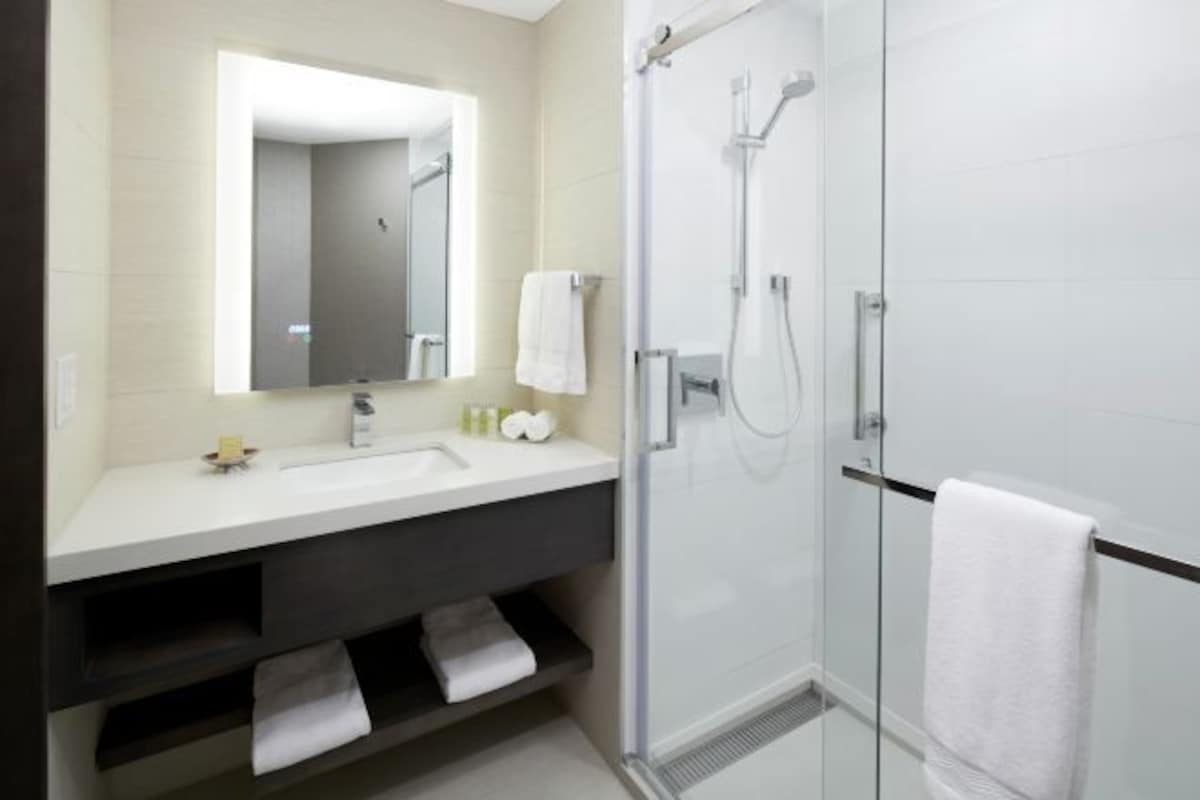 A modern bathroom with a glass-enclosed shower, a large mirror, and a white sink.