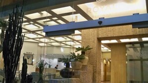 A modern hotel lobby with a reception desk, a large potted plant, and a glass facade. - Hotel Royal Reforma (Mexico City)