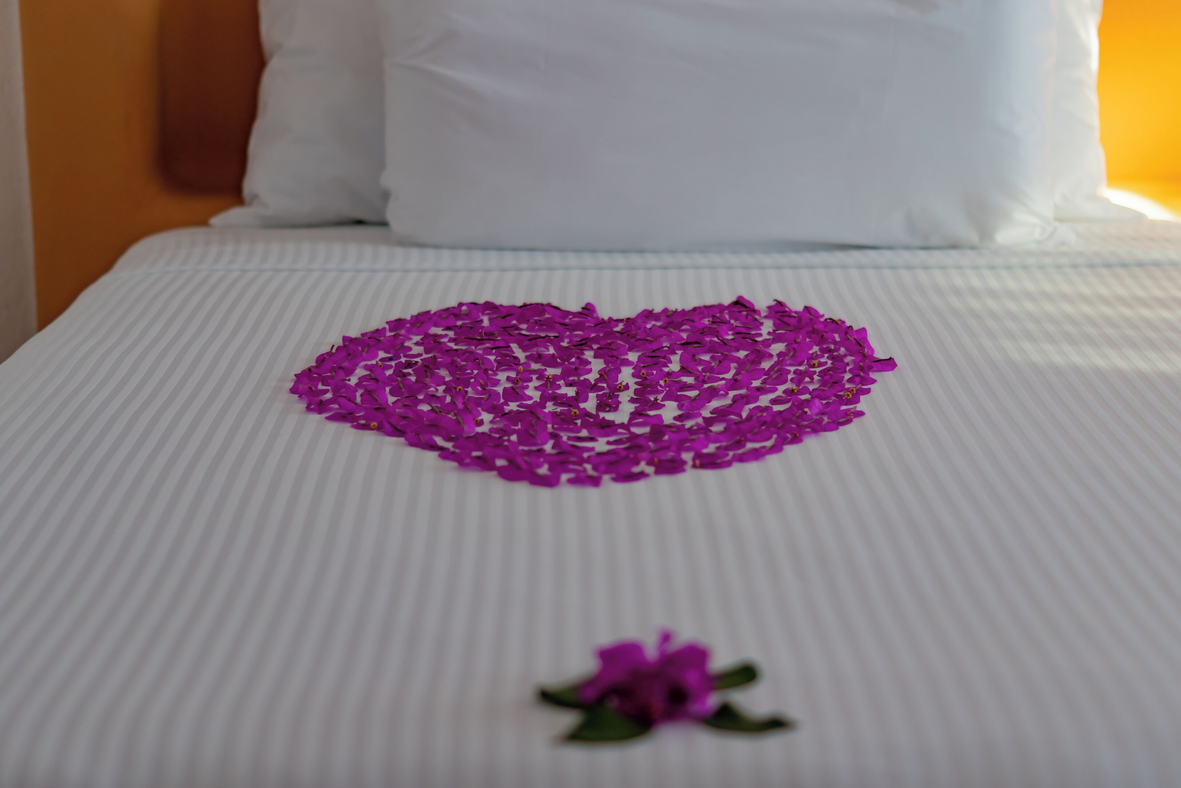 A bed with a white pillow and a striped bedspread.