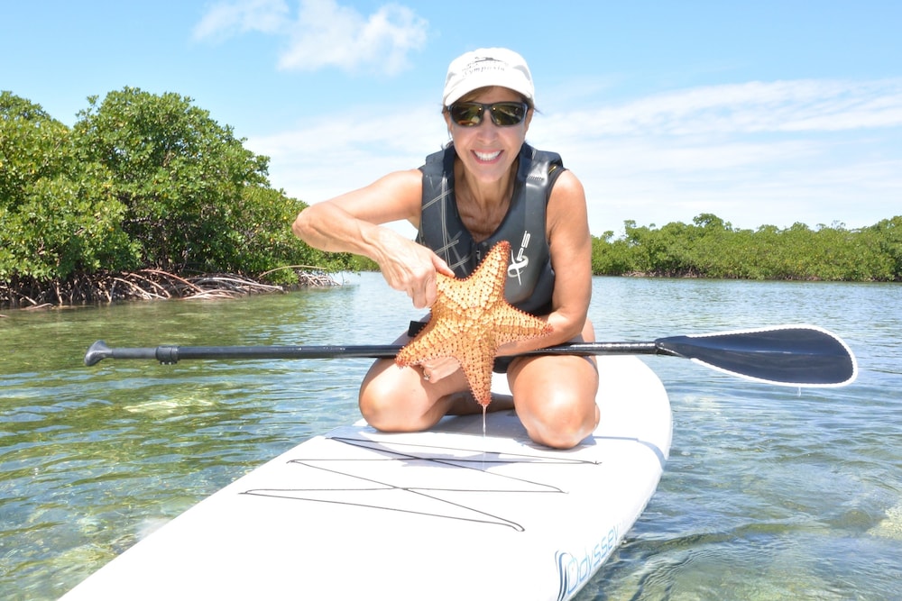Green Turtle Club Resort & Marina by null