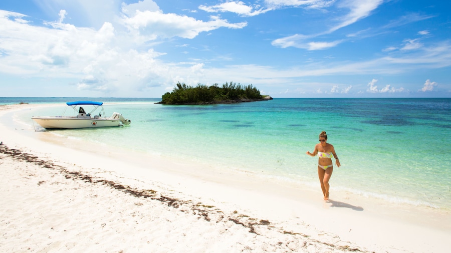 Green Turtle Club Resort & Marina
