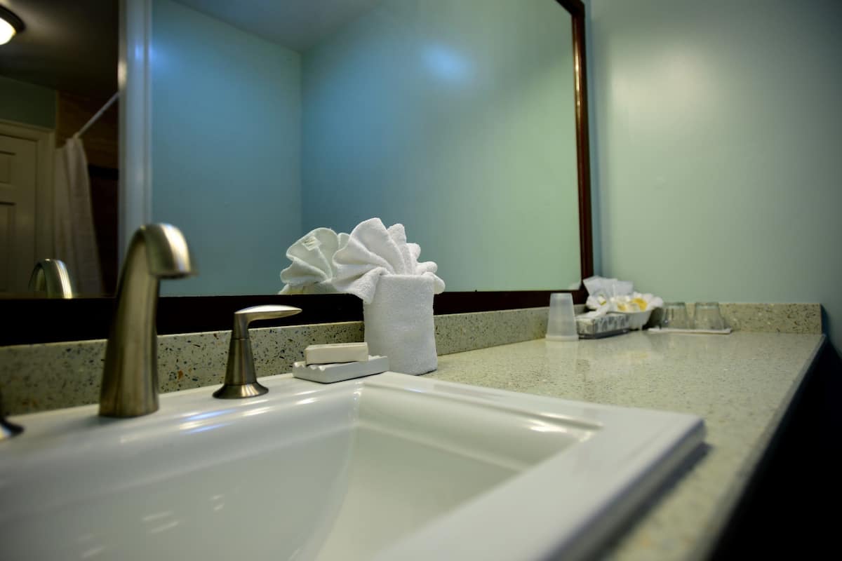 deluxe room | desk, soundproofing, iron/ironing board, cots/infant beds