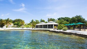A clear view of a beachfront hotel with a pool, palm trees, and outdoor seating areas. - Green Turtle Club Resort & Marina (Green Turtle Cay)