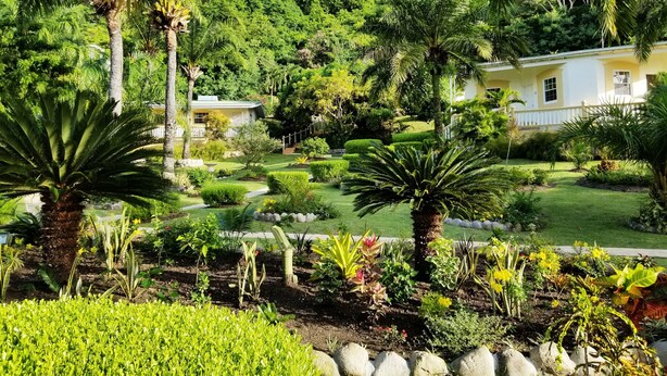 A lush garden with palm trees, a well-maintained lawn, and a white building with a balcony. - Blue Horizons Garden Resort (St. George's)