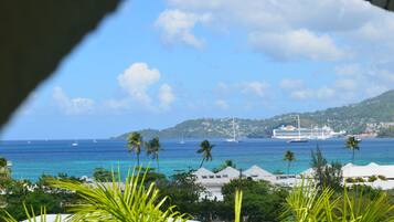 Deluxe Suite, 1 Bedroom, Kitchenette, Ocean View | View from room