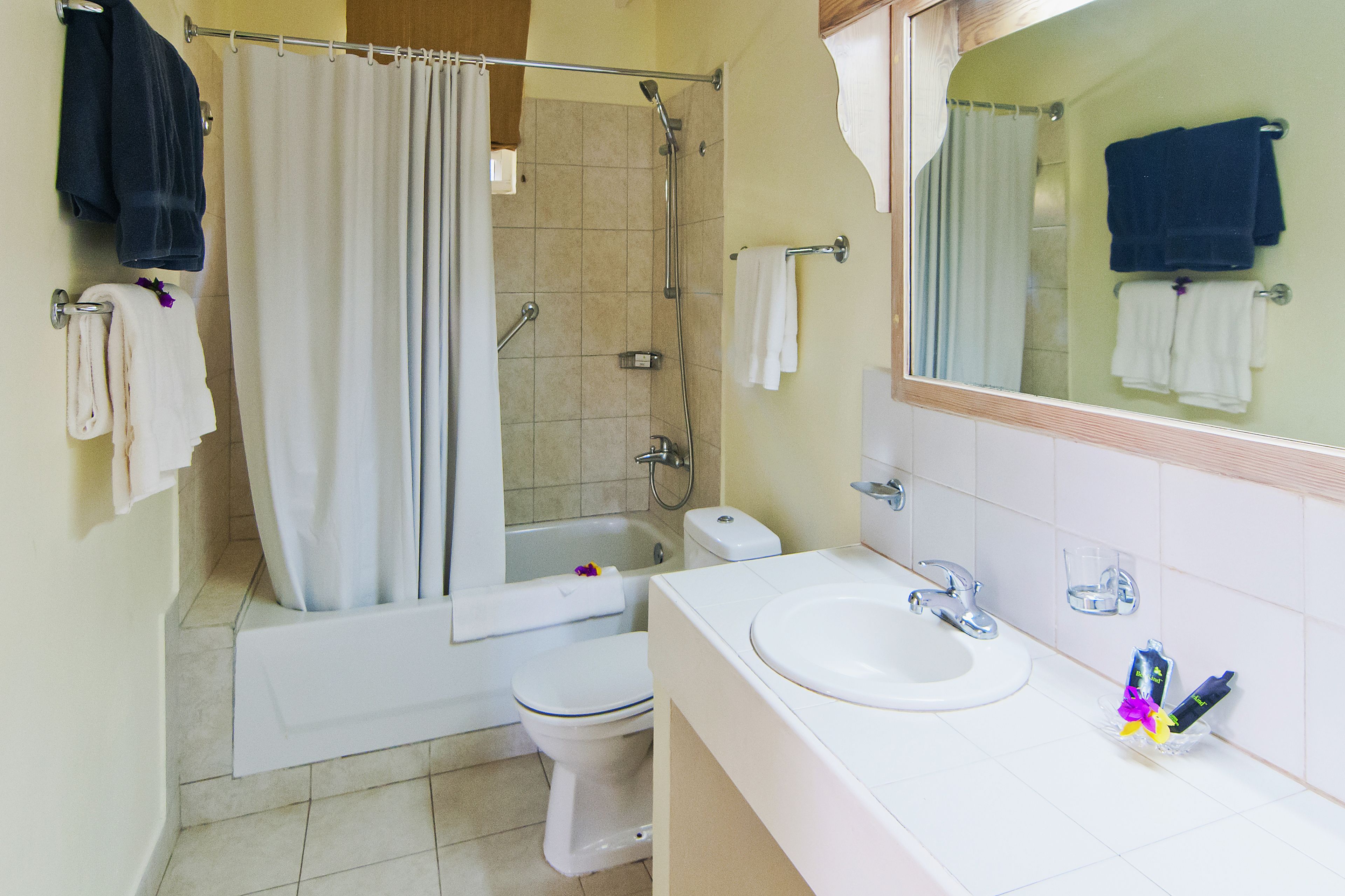 deluxe suite, 1 bedroom, kitchenette, garden view | bathroom | eco-friendly toiletries, hair dryer, towels, soap