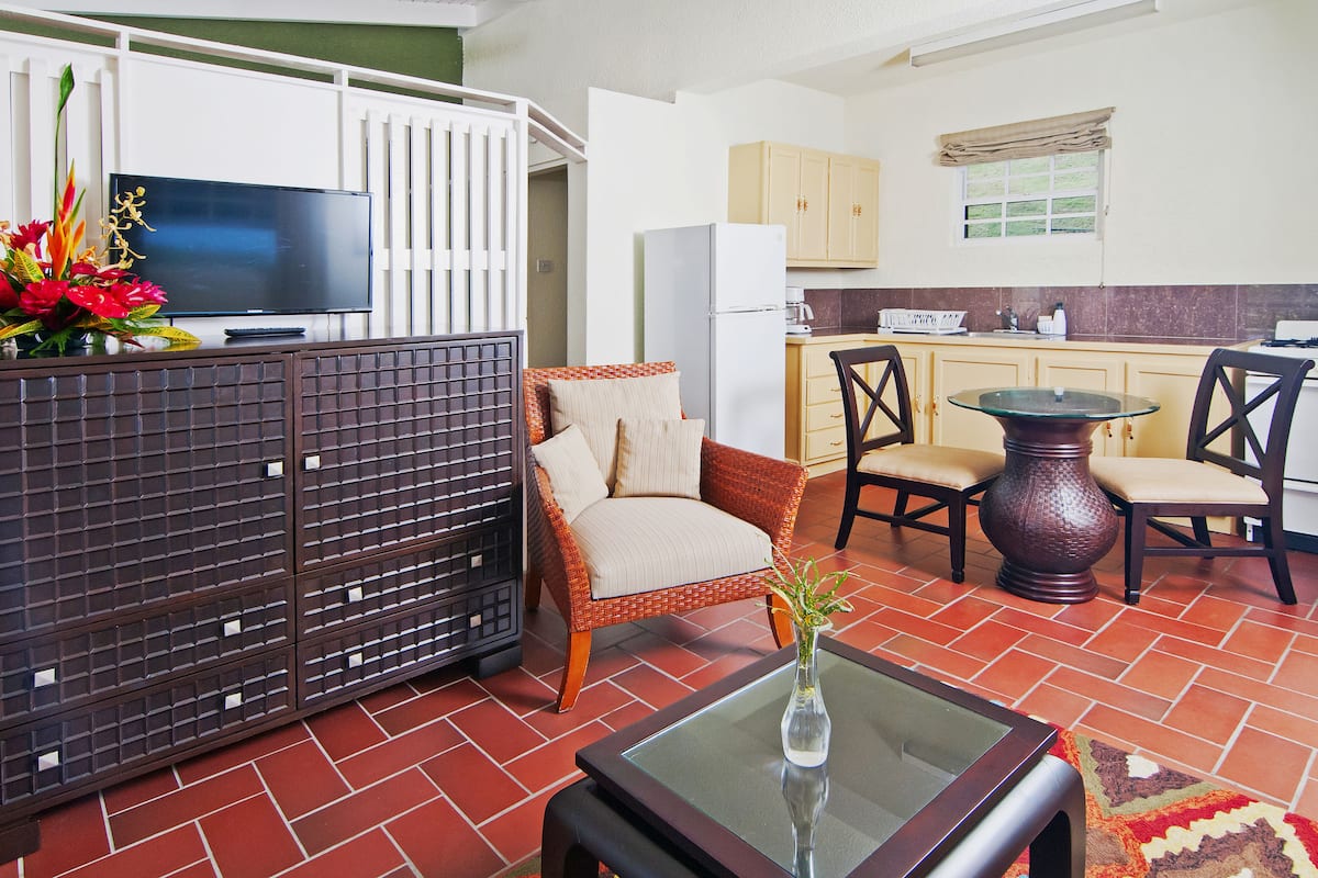 Un espacio habitable compacto con kitchenette, una zona de comedor con sillas, un sofá y un televisor.