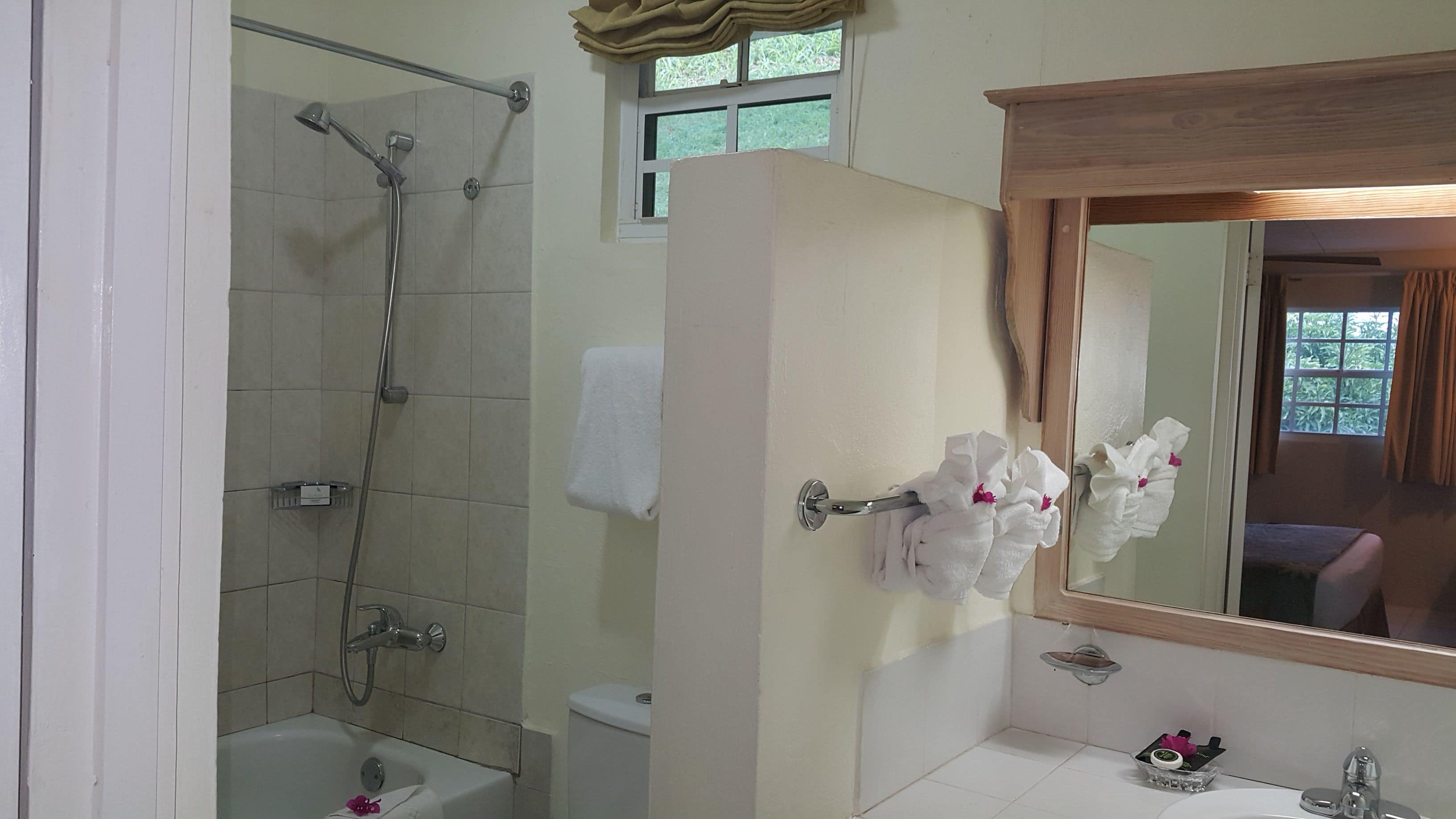 deluxe suite, 1 bedroom, kitchenette, ocean view | bathroom | eco-friendly toiletries, hair dryer, towels, soap