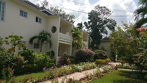 Jardin