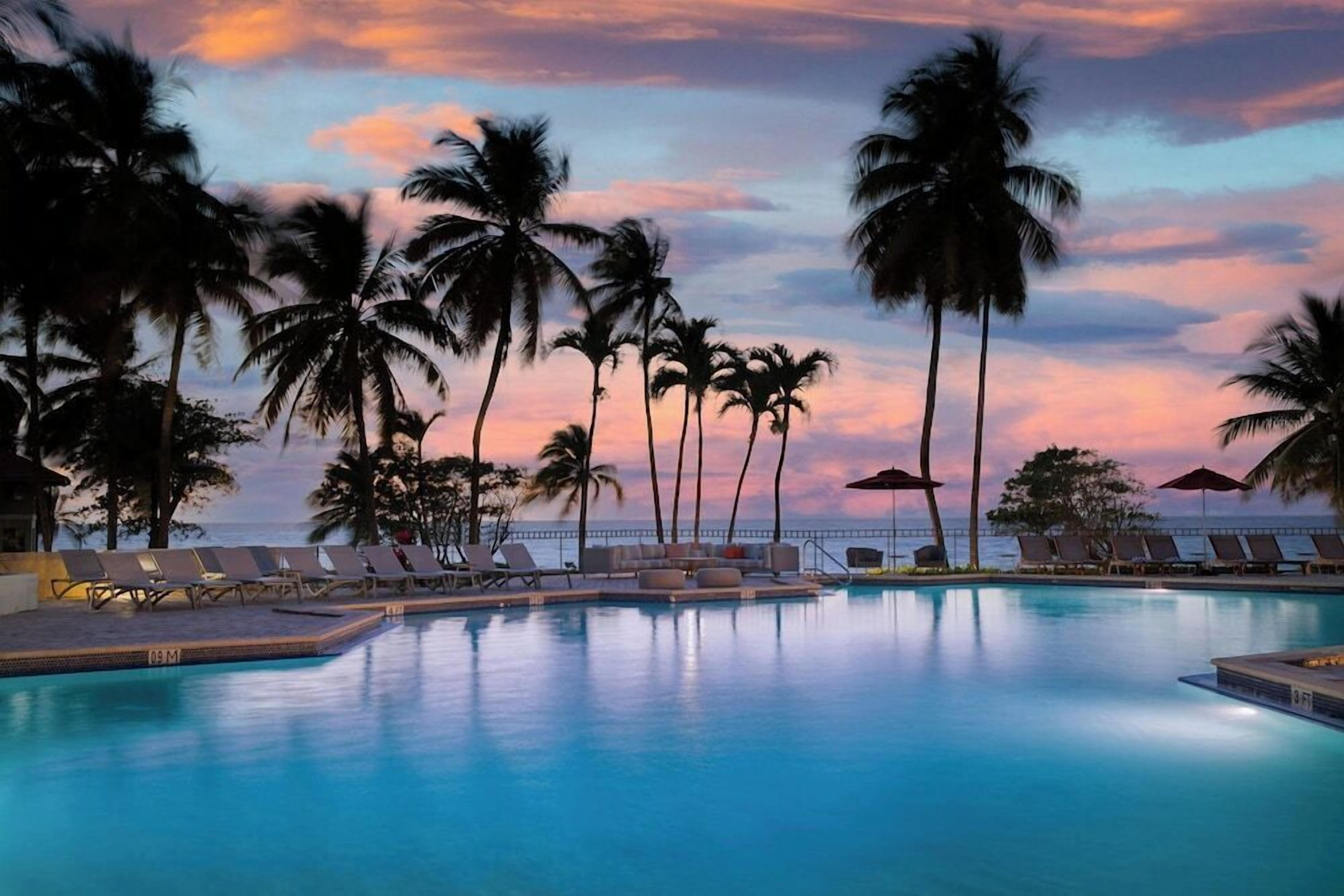 Outdoor pool, sun loungers