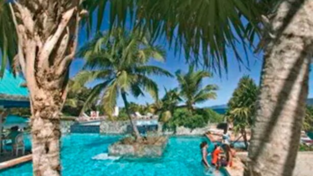 A pool area with palm trees and clear blue water. - Sapphire Beach Resort (St. Thomas)