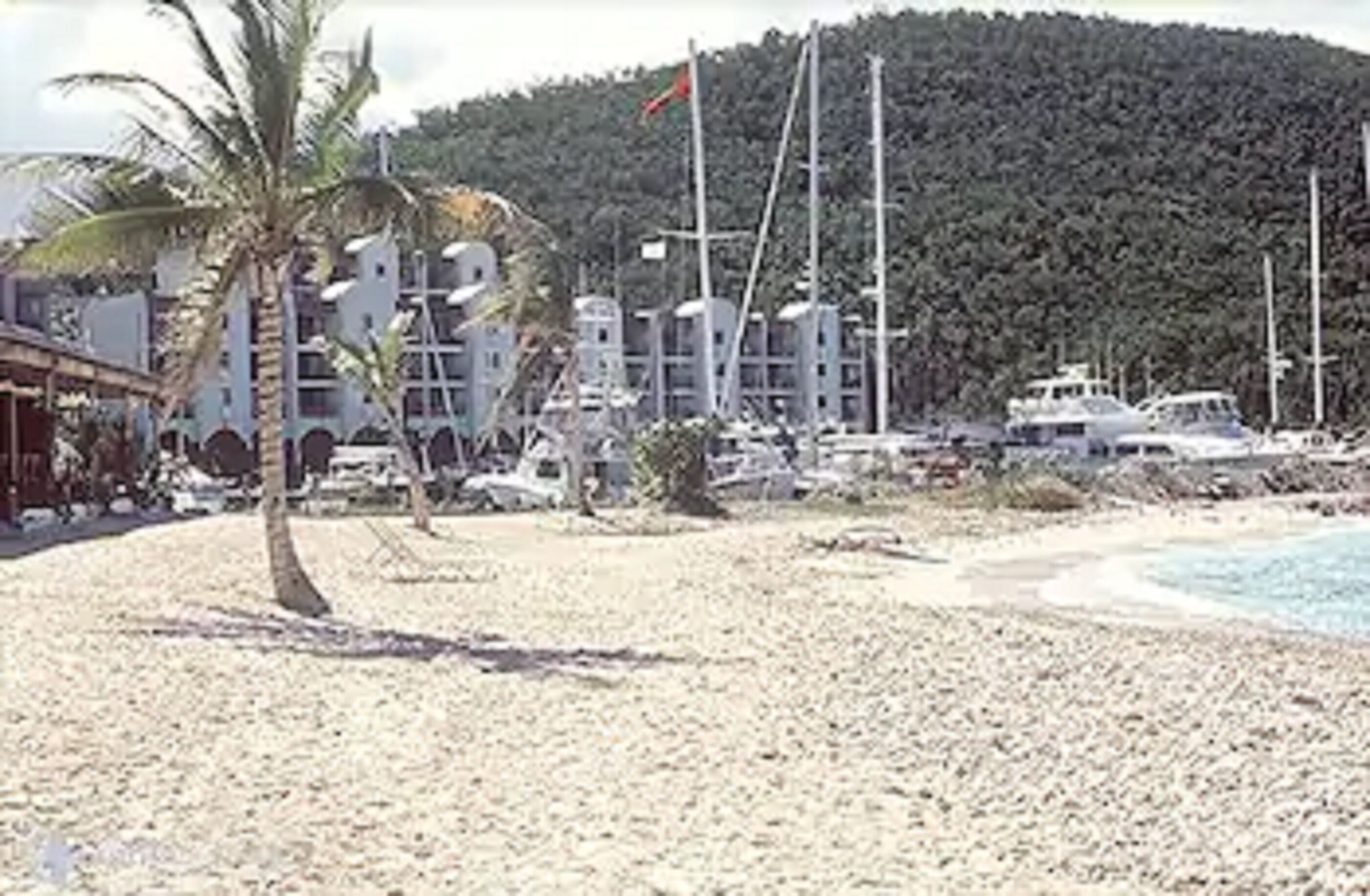 Una playa con una palmera, un edificio con varios balcones y varias embarcaciones amarradas cerca de la orilla.