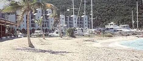 Una playa con una palmera, un edificio con varios balcones y varias embarcaciones amarradas cerca de la orilla.