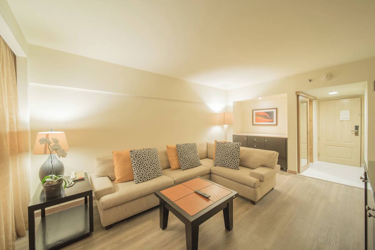 Un salon avec un canapé, une table basse, une lampe et une plante en pot.
