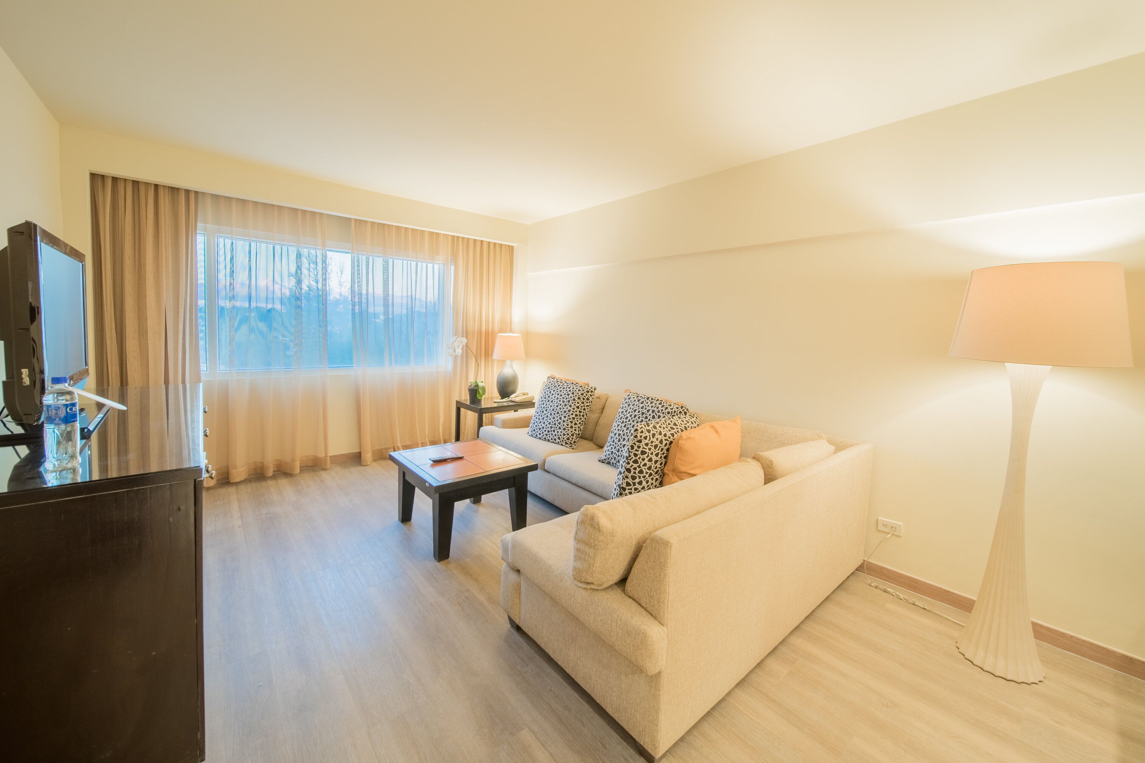 junior suite, 1 king bed | living area | 39-inch lcd tv with cable channels, tv, ipod dock