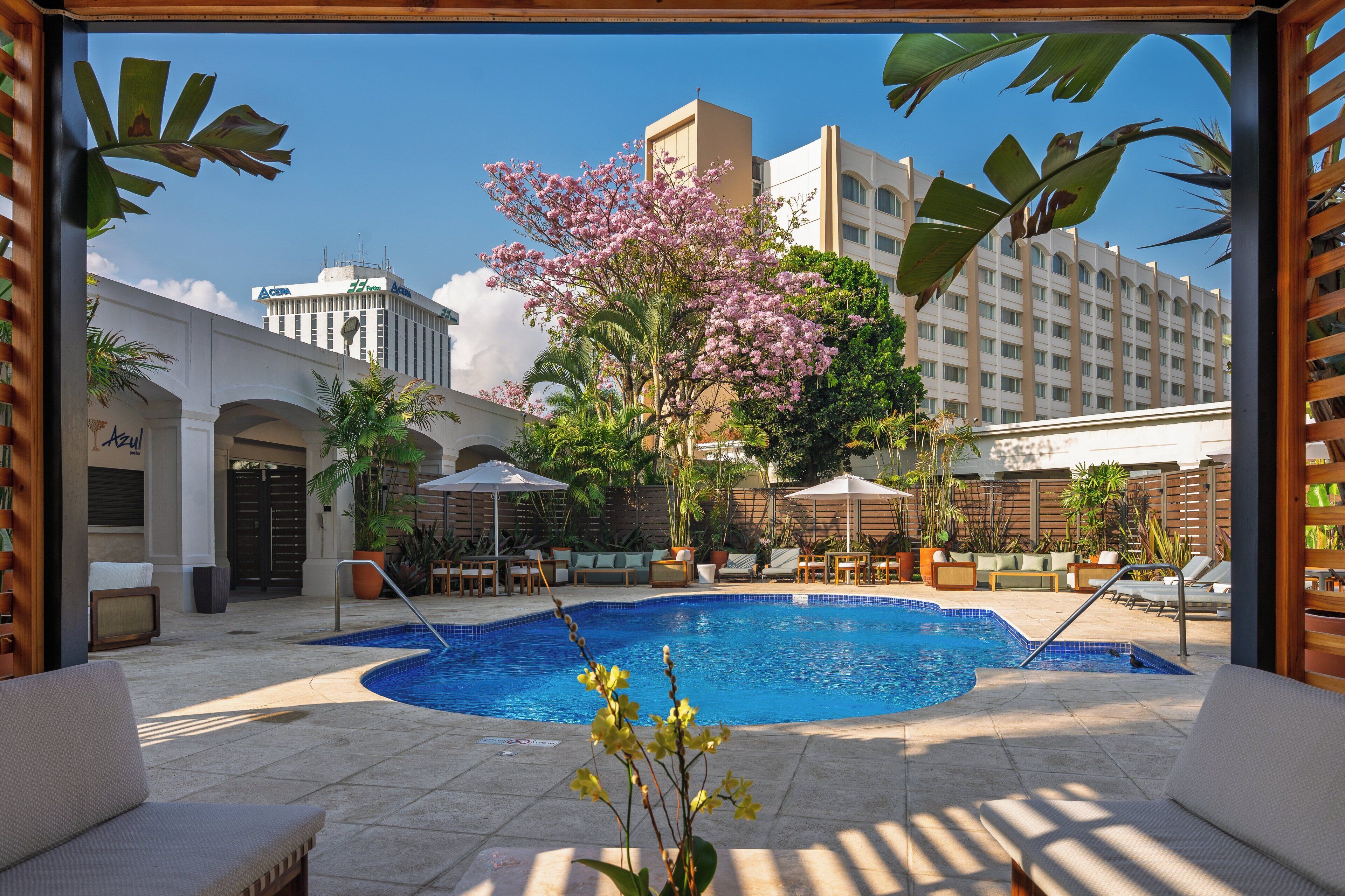 Alberca al aire libre, sombrillas en la alberca y camastros 