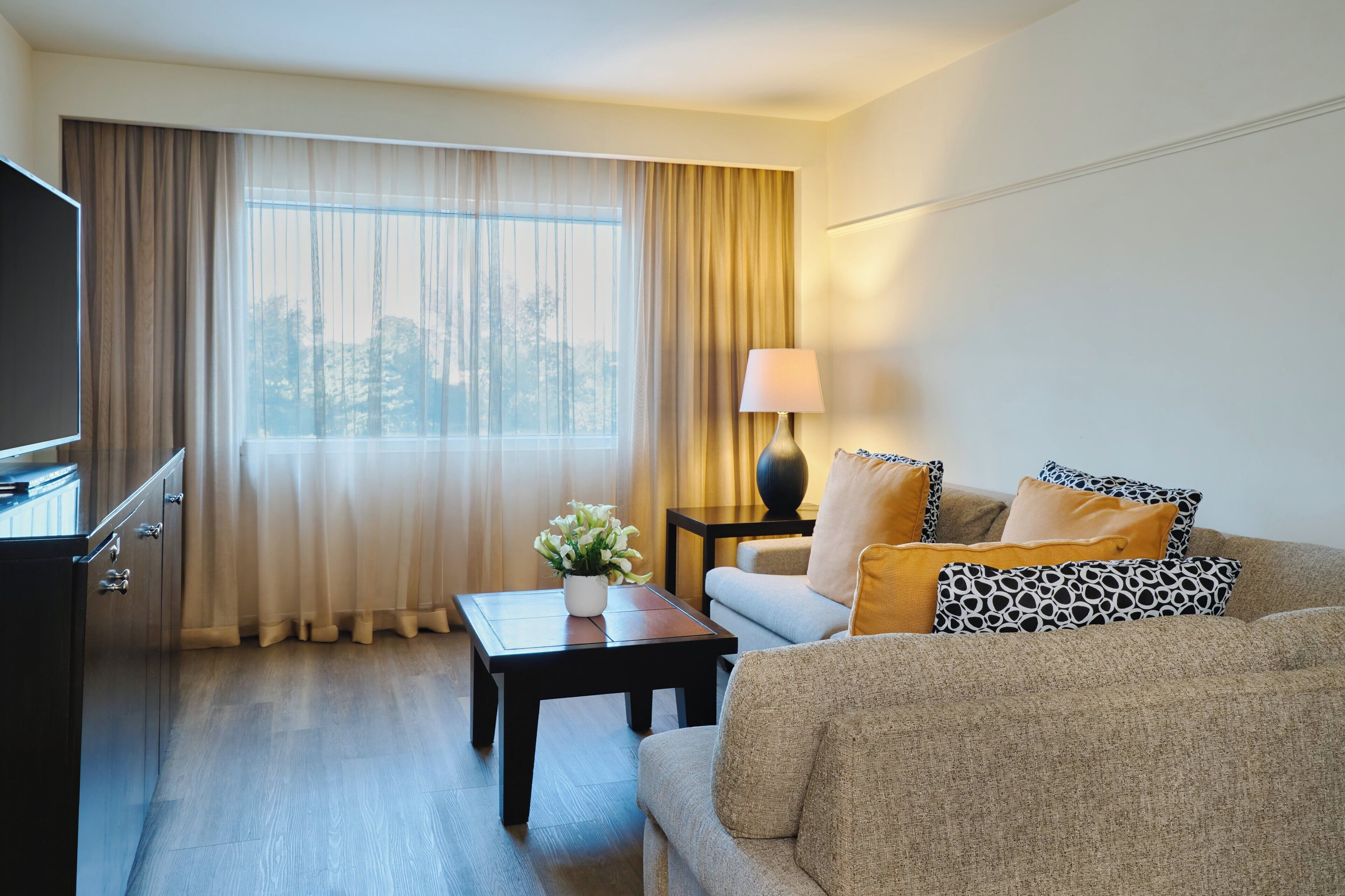 A hotel room with a sofa, a coffee table with a plant, a lamp, and a TV on a stand.