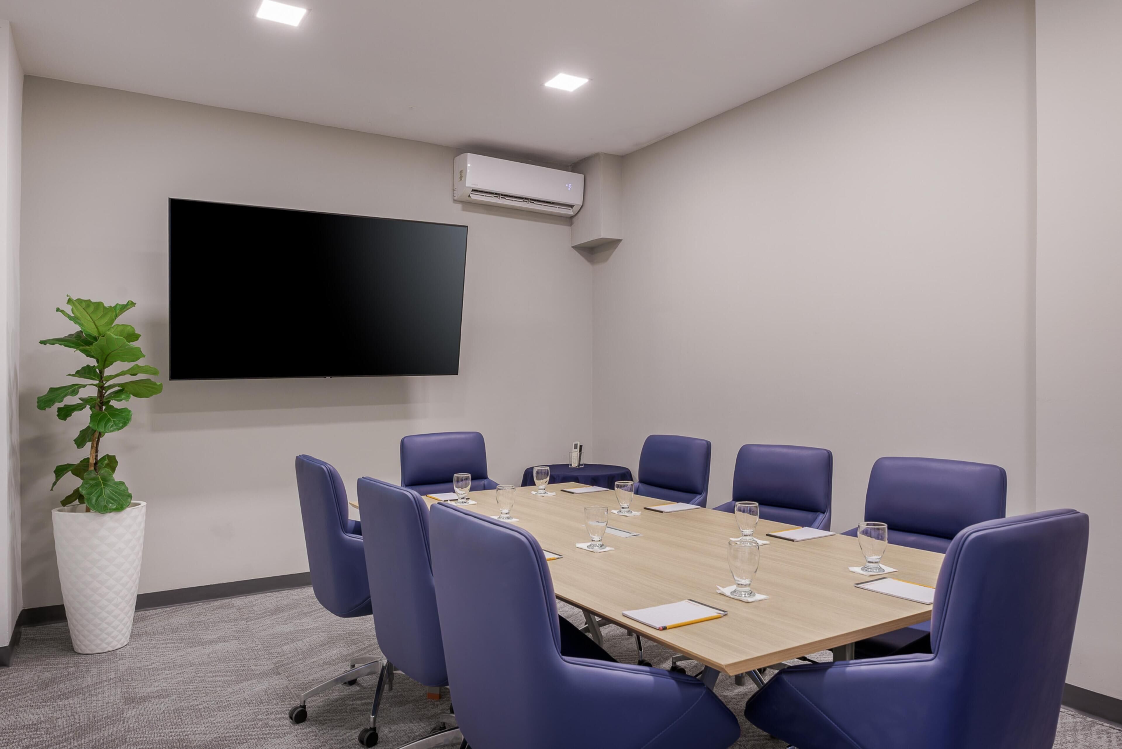 Un salón de conferencias con una mesa larga, sillas azules, una planta en maceta, un televisor de pantalla plana y un equipo de aire acondicionado.