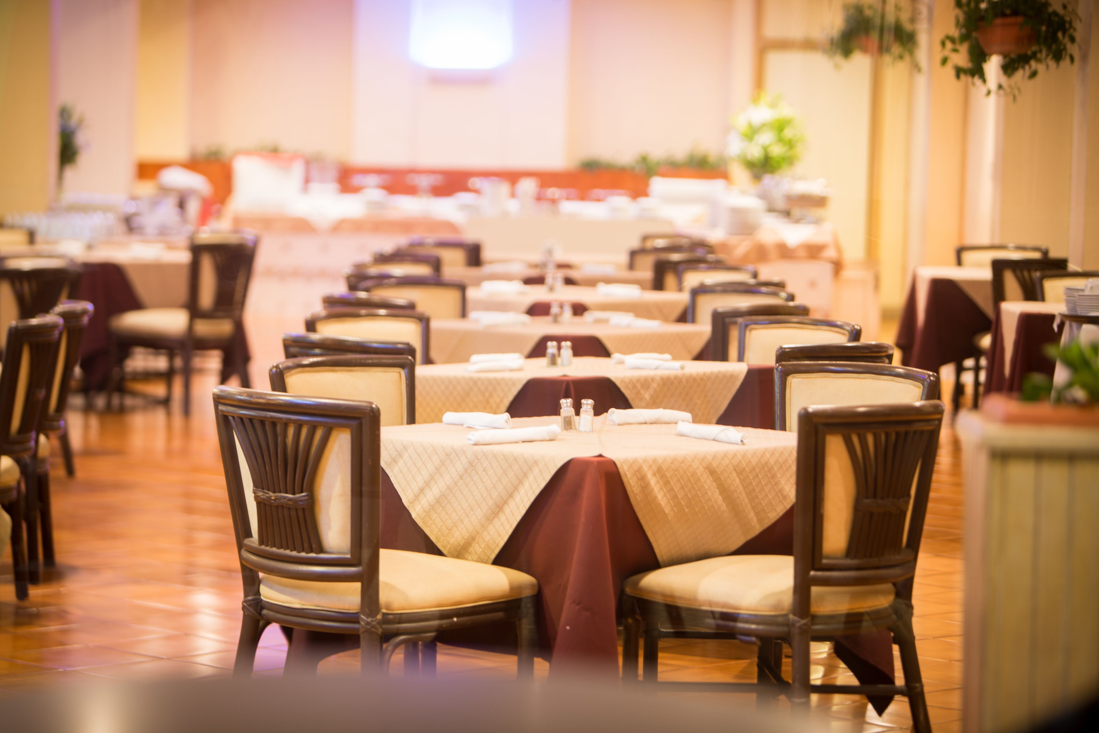 Photo - Best Western Plus Hotel Terraza