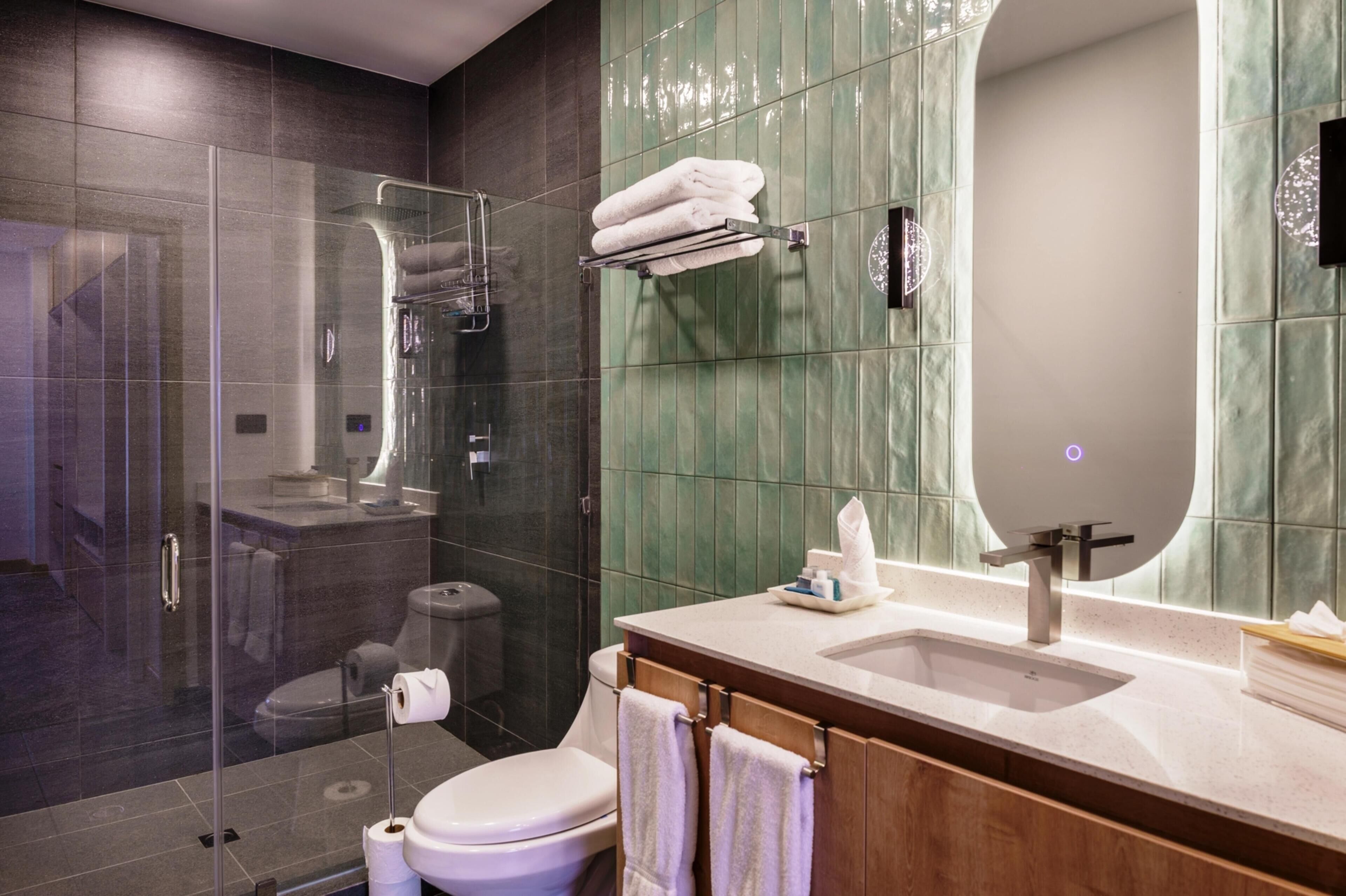 A modern bathroom with a glass shower enclosure, a toilet, and a sink with a mirror.