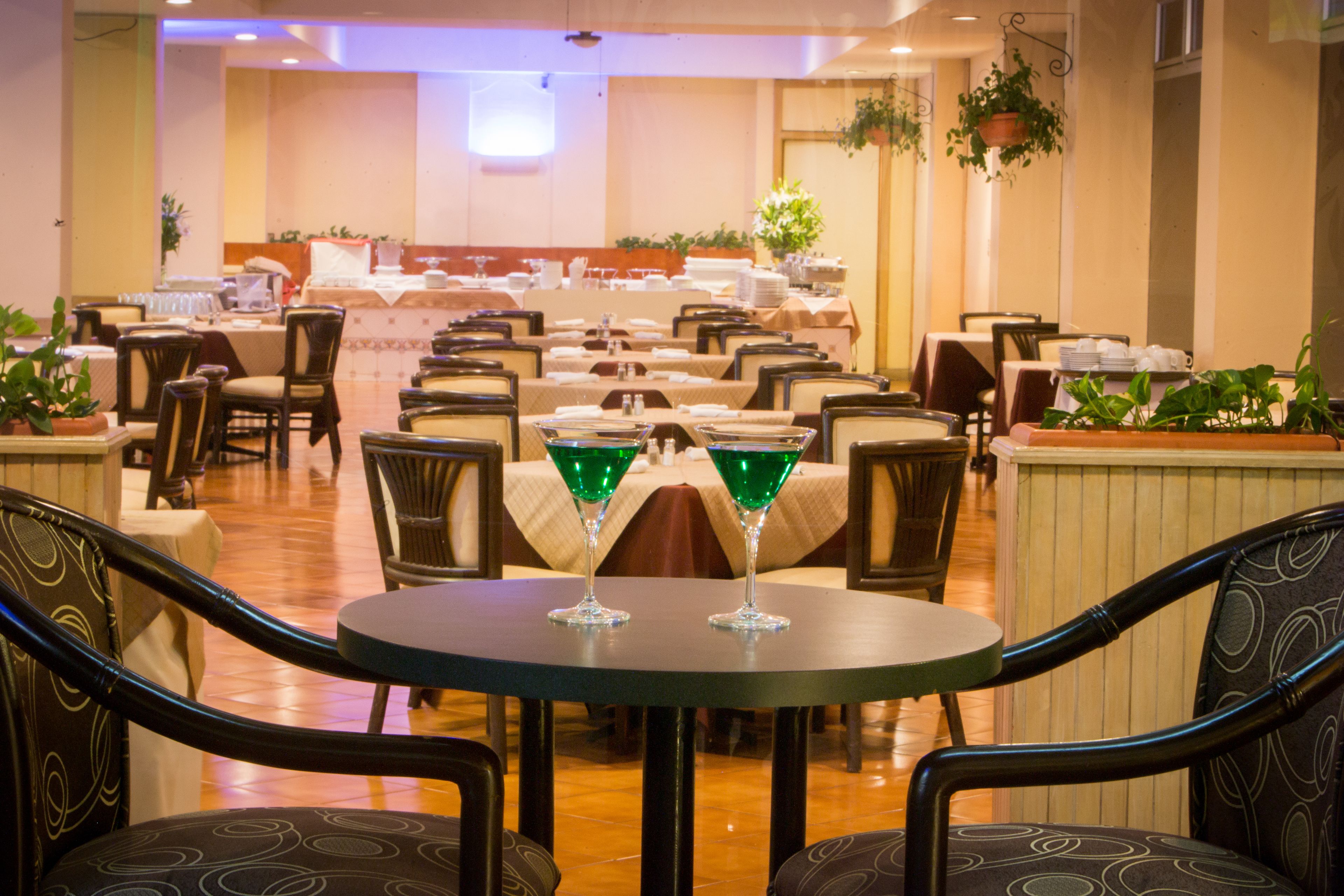 Photo - Best Western Plus Hotel Terraza