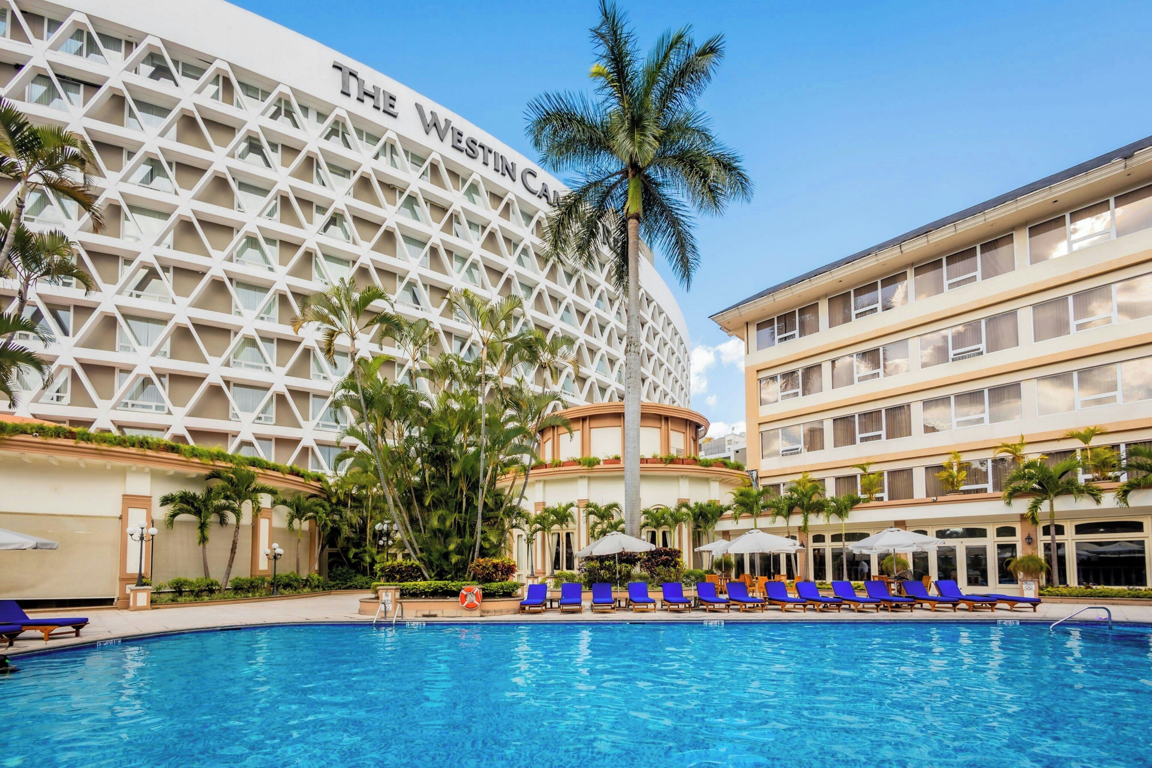 Una piscina circondata da palme e lettini da spiaggia in un hotel.