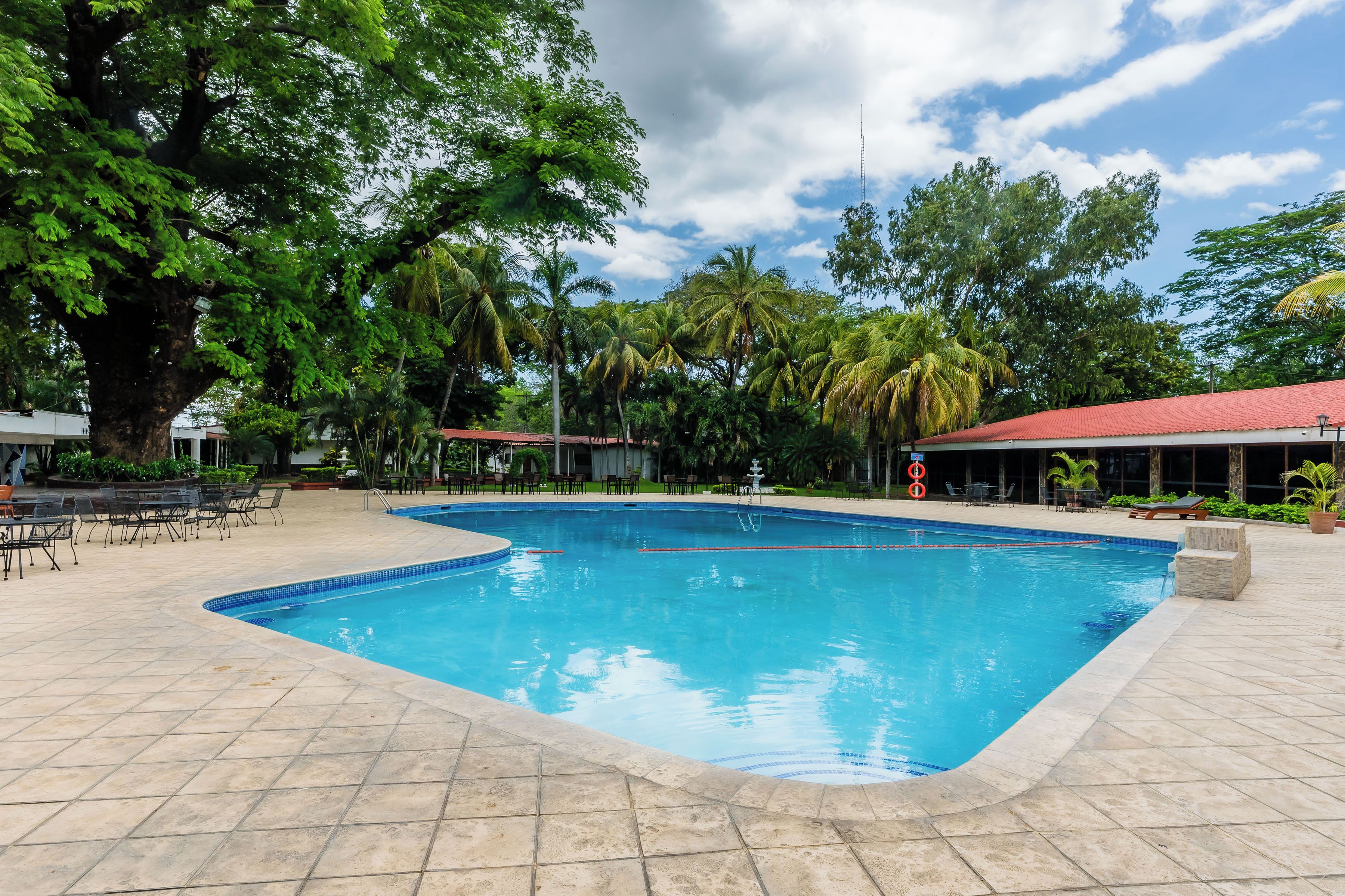 A swimming pool with tiled edges, surrounded by outdoor seating and palm trees.