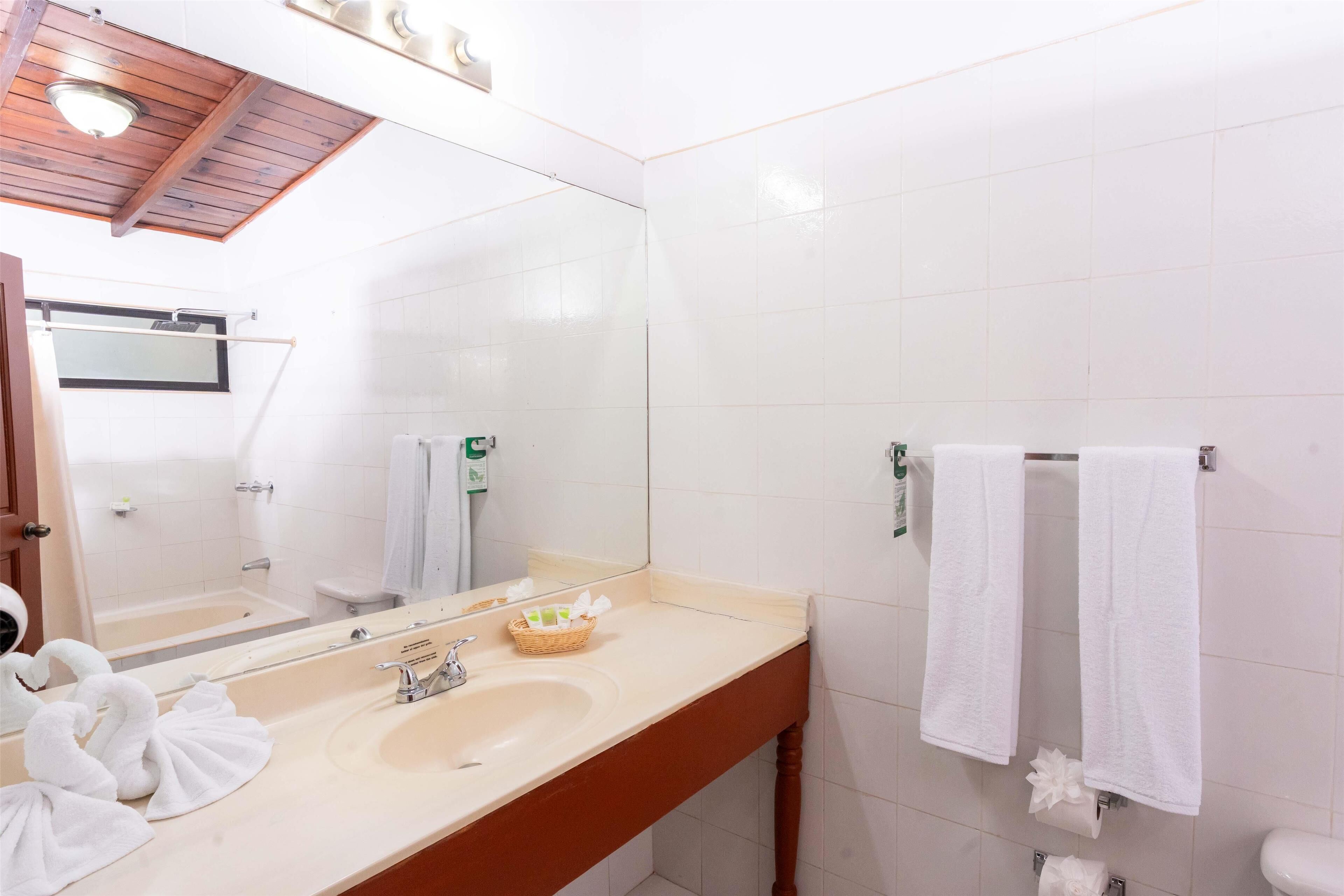 Een badkamer met een wastafel, spiegel, handdoekhouder en douchehoek.