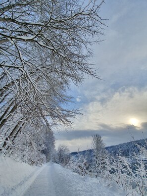 Wandern