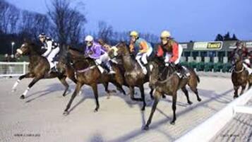Una cursa de cavalls amb jockeys a sobre dels animals.