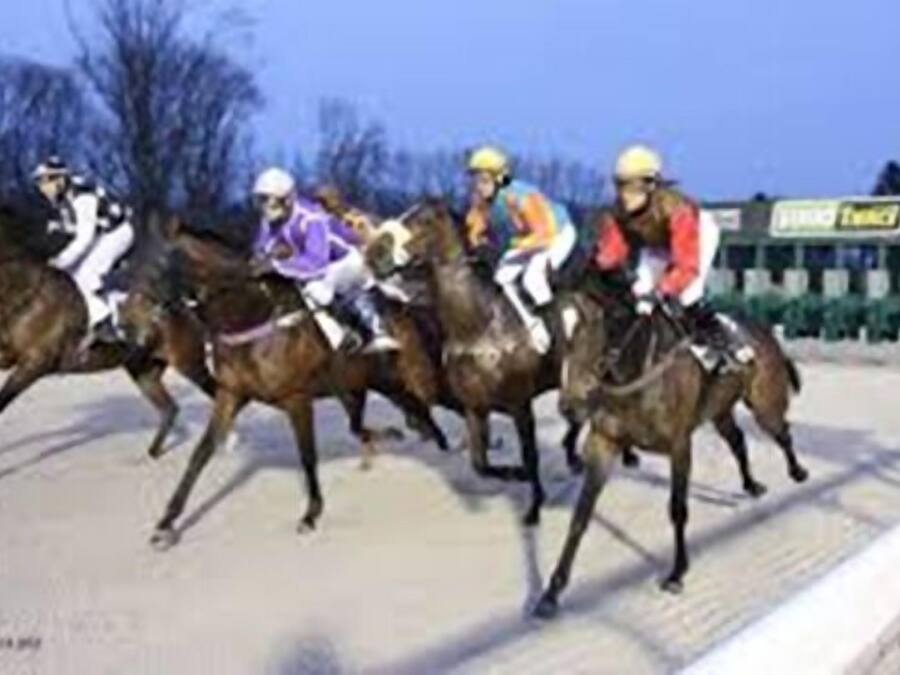 Una cursa de cavalls amb jockeys a sobre dels animals.