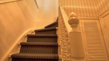 Eine Treppe mit Handlauf, Teppichstufen und einer Leuchte.