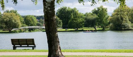 A park with a bench, a tree, a lake, a bridge, and a rowboat.