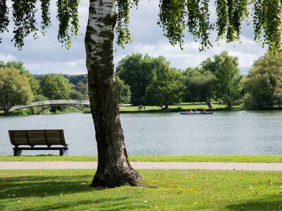 Un parque con un banco, un árbol, un lago, un puente y un bote.
