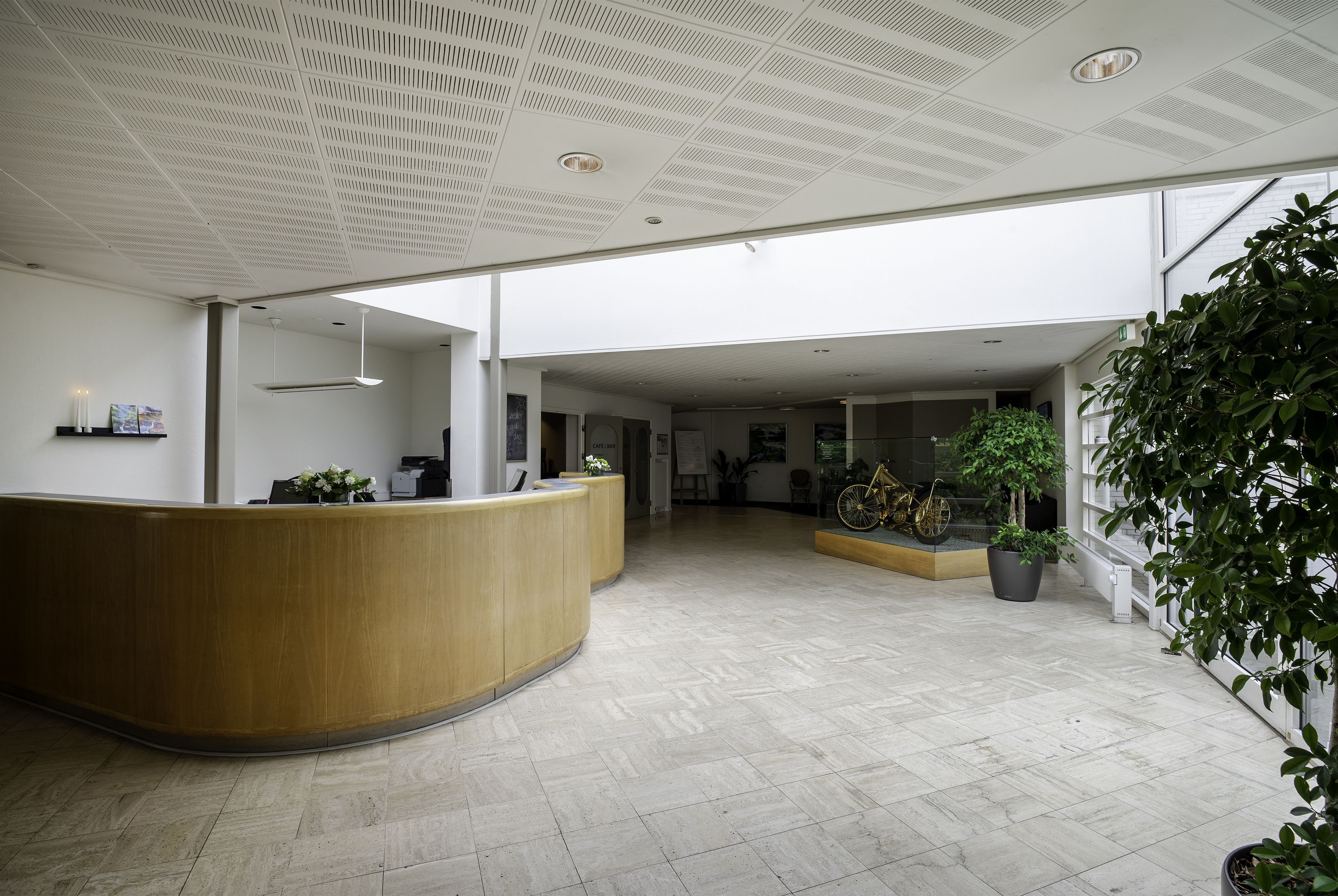A spacious lobby with a curved reception desk, potted plants, and a large window providing natural light.