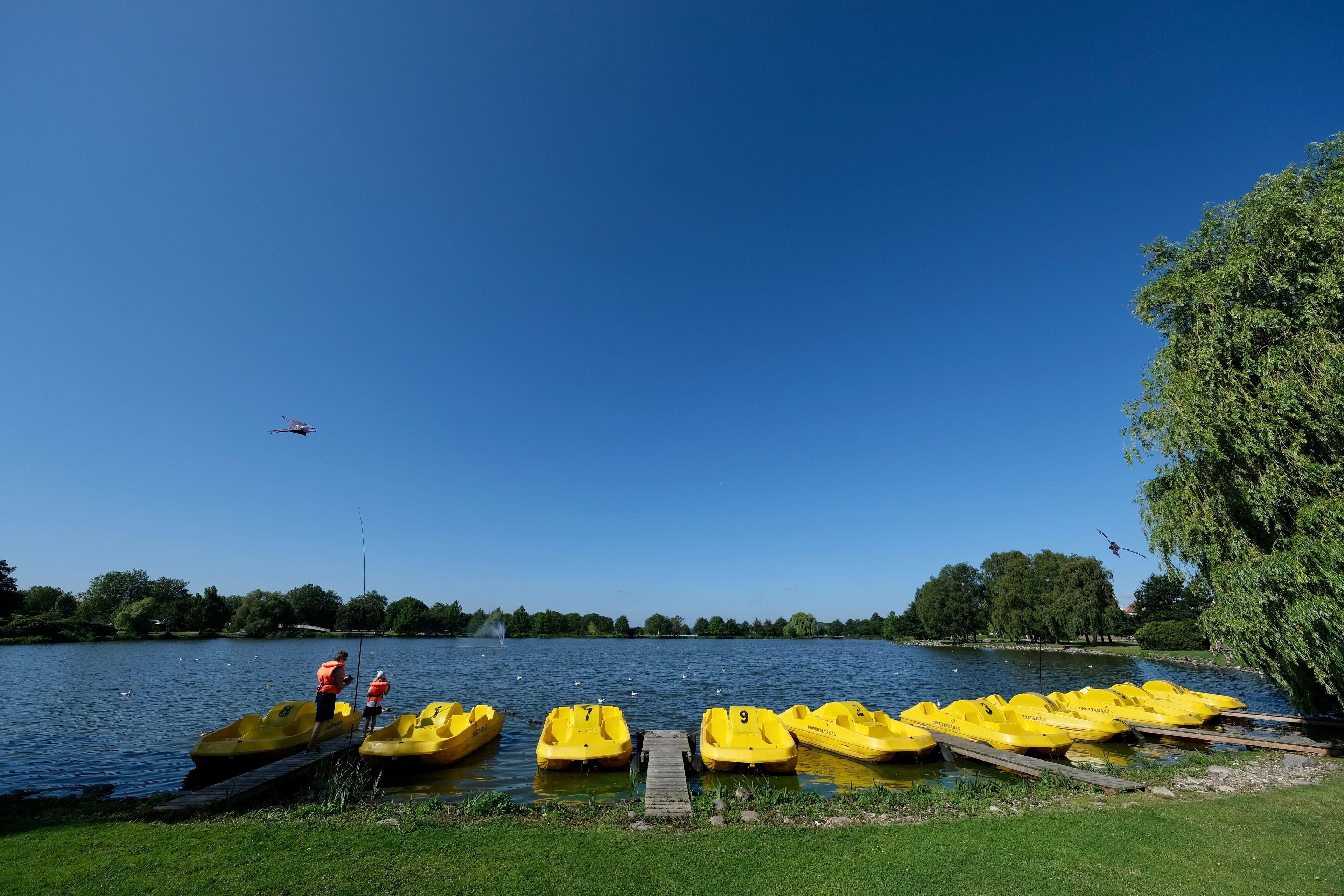 A lakeside view with yellow boats docked, a wooden pier, and a clear blue sky.