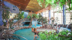 Una piscina interior con techo de madera, rodeada de rocas y plantas.