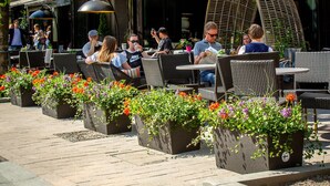 Un espace extérieur aménagé avec des tables et des chaises, entouré de jardinières fleuries.