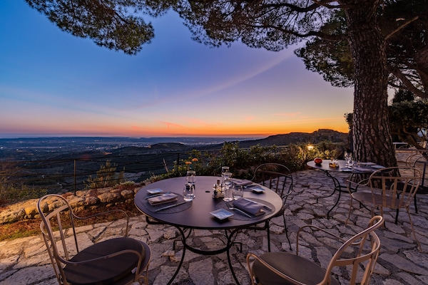 Dinner served, French cuisine, garden views