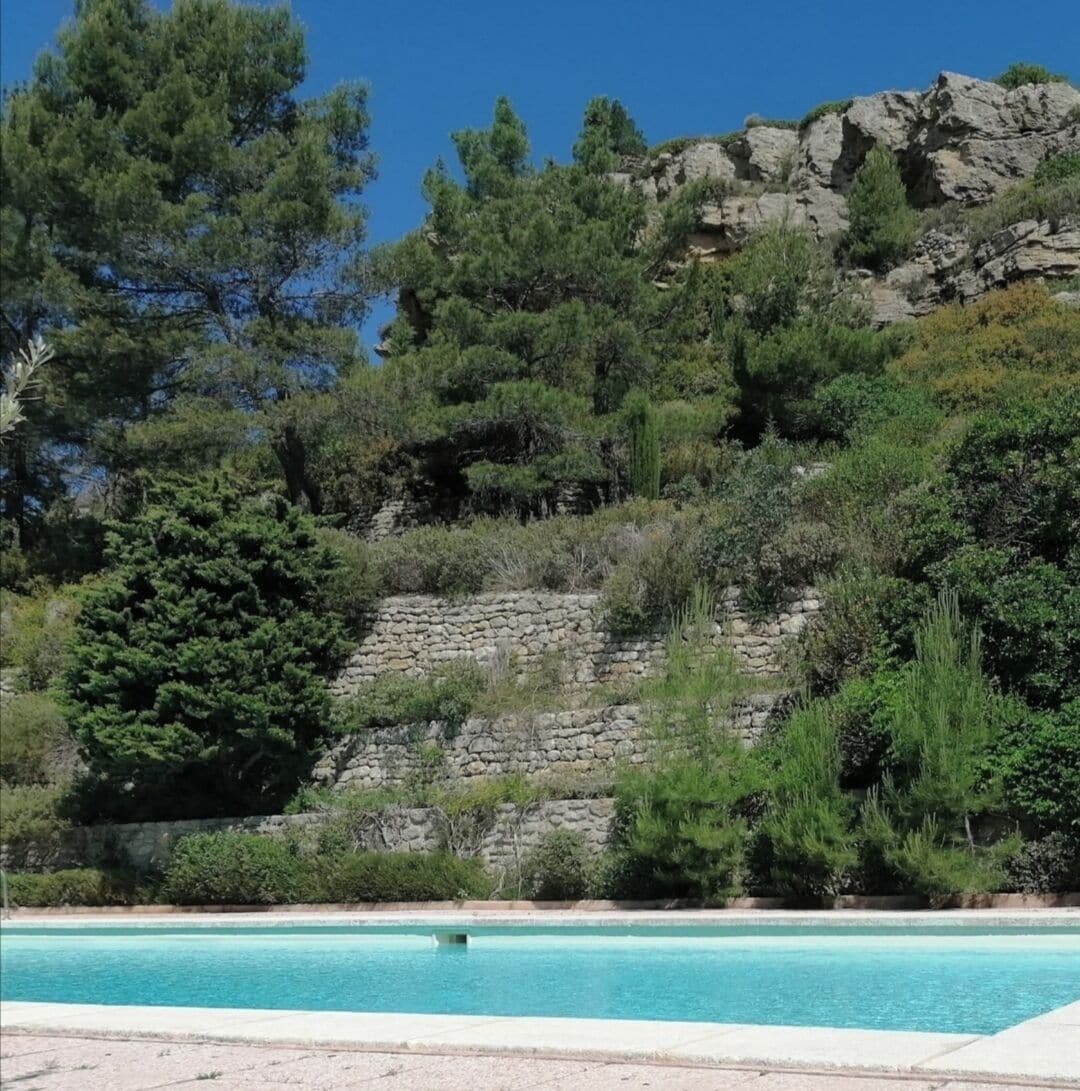 A pool with clear blue water, surrounded by lush greenery and a rocky hillside.