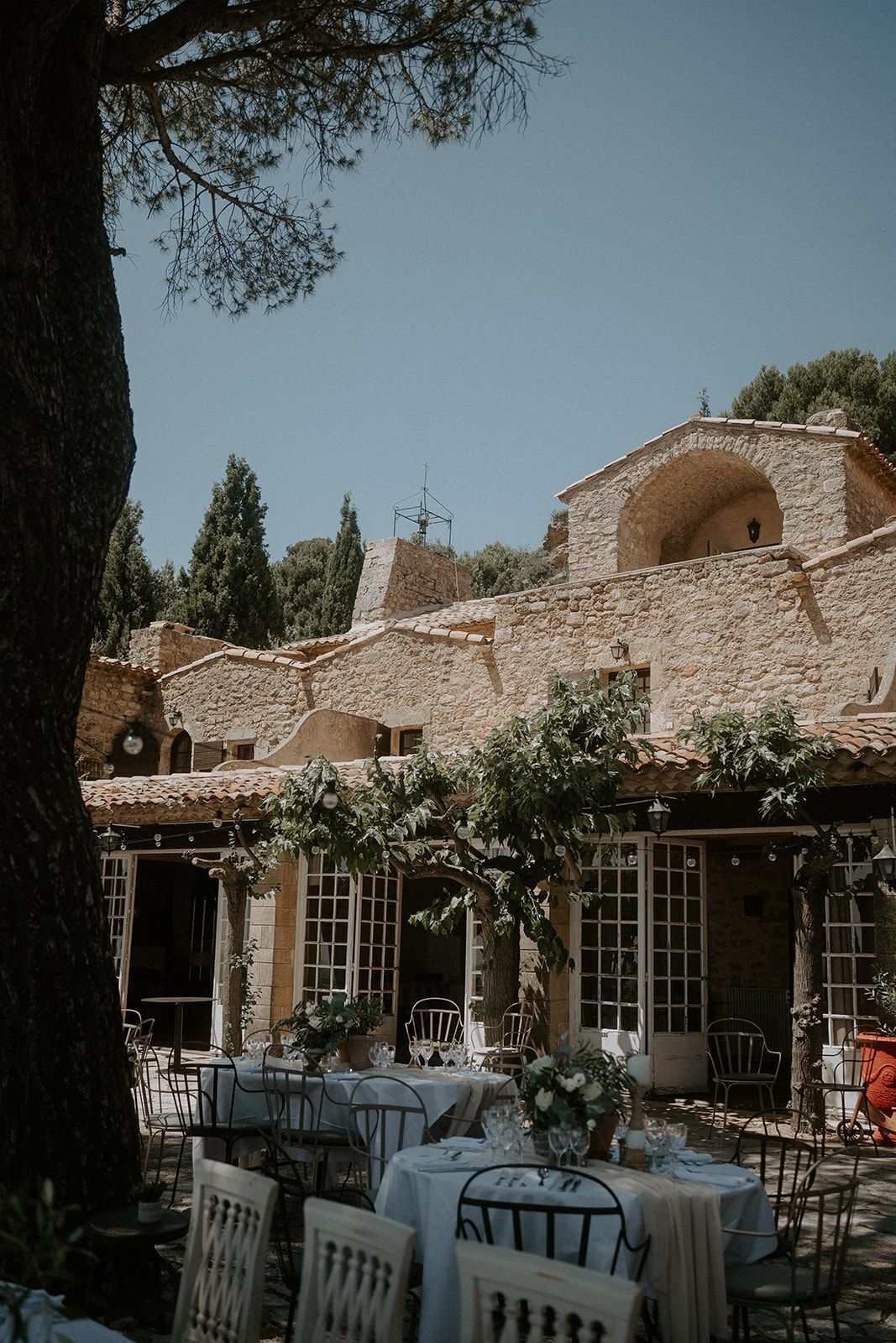 Serveert diner, Franse gerechten, uitzicht op de tuin 
