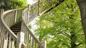 Una escalera en espiral de madera en un parque con abundante follaje y árboles.