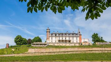 A large, historic building with a prominent tower, situated on a hillside with a vineyard in the foreground.