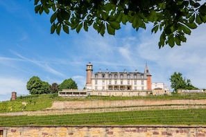Un grand bâtiment historique, doté d’une tour imposante, situé sur une colline, avec un vignoble en contrebas.