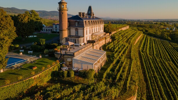 Una extensa propiedad con una torre destacada, amplios jardines y filas de viñedos.